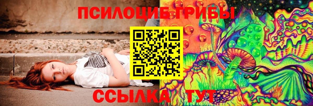 Галлюциногенные грибы MAGIC MUSHROOMS  Вход с VPN  Жигулёвск 